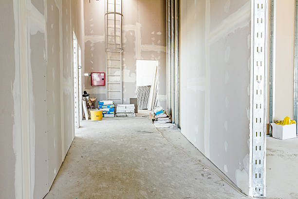 Professional Drywall and Painting Service in Sterling, AK